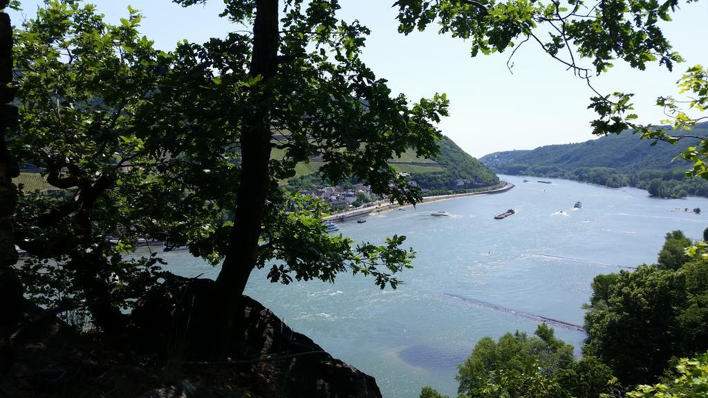 Eismauer Suite Rüdesheim am Rhein Esterno foto